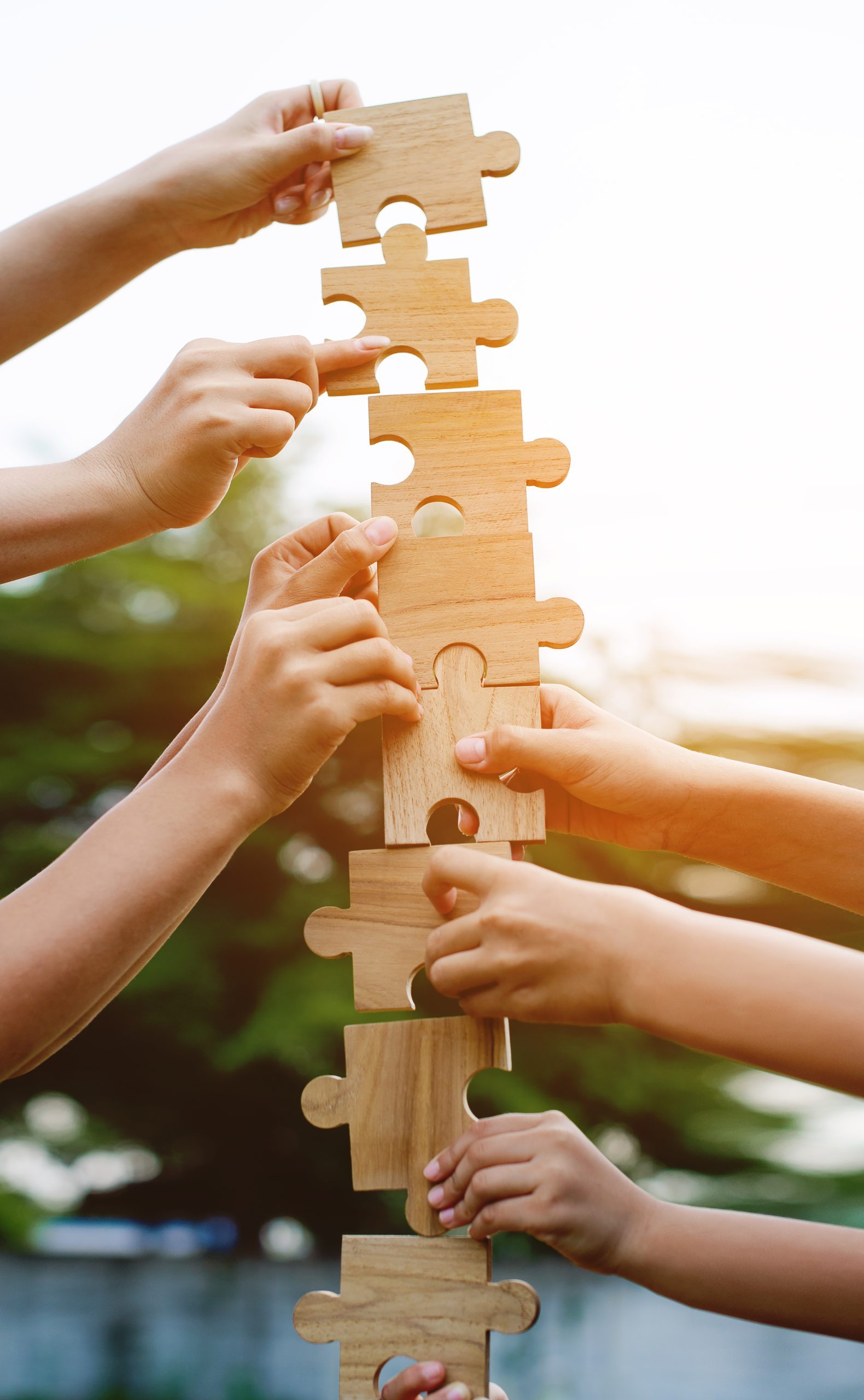 Fueling Growth through Team Building